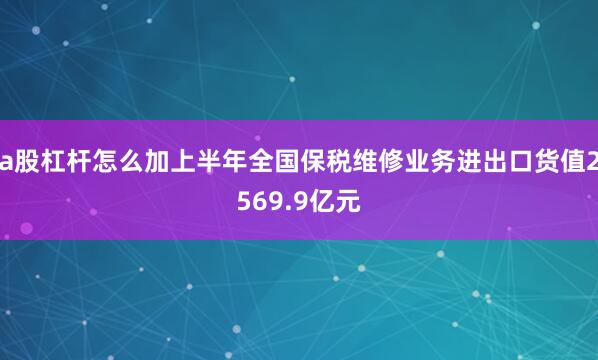 a股杠杆怎么加上半年全国保税维修业务进出口货值2569.9亿元