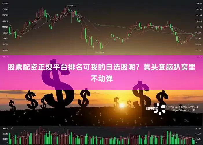 股票配资正规平台排名可我的自选股呢？蔫头耷脑趴窝里不动弹