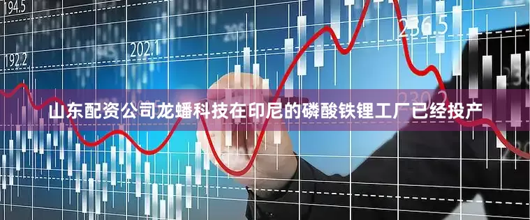 山东配资公司龙蟠科技在印尼的磷酸铁锂工厂已经投产