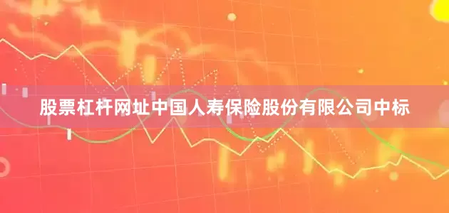 股票杠杆网址中国人寿保险股份有限公司中标