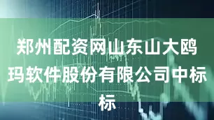 郑州配资网山东山大鸥玛软件股份有限公司中标