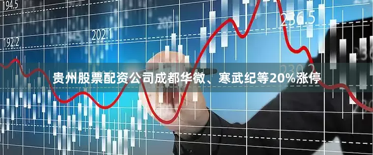 贵州股票配资公司成都华微、寒武纪等20%涨停