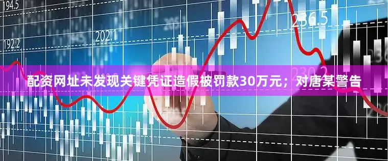 配资网址未发现关键凭证造假被罚款30万元；对唐某警告