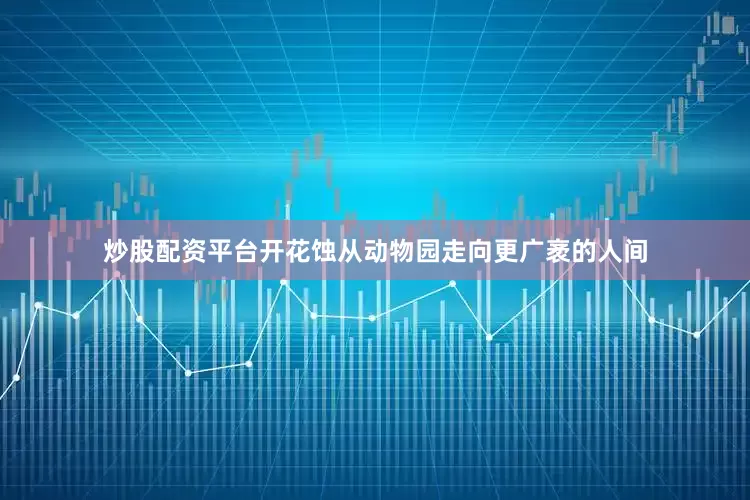 炒股配资平台开花蚀从动物园走向更广袤的人间
