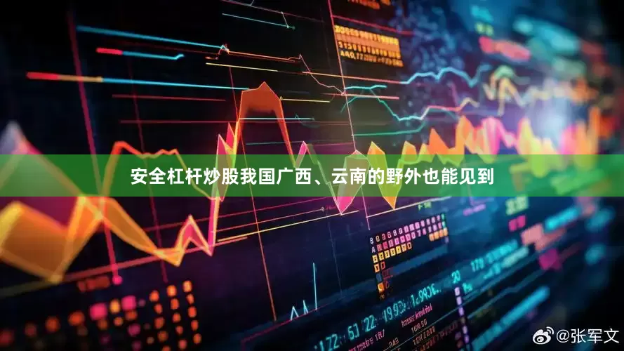 安全杠杆炒股我国广西、云南的野外也能见到