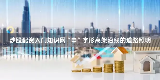 炒股配资入门知识网“申”字形高架沿线的道路照明