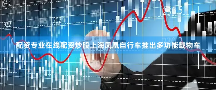 配资专业在线配资炒股上海凤凰自行车推出多功能载物车