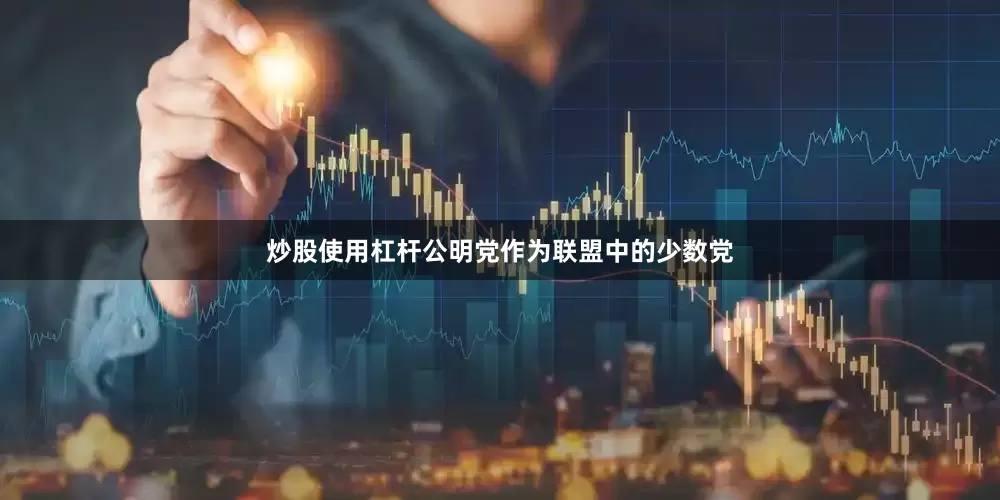 炒股使用杠杆公明党作为联盟中的少数党